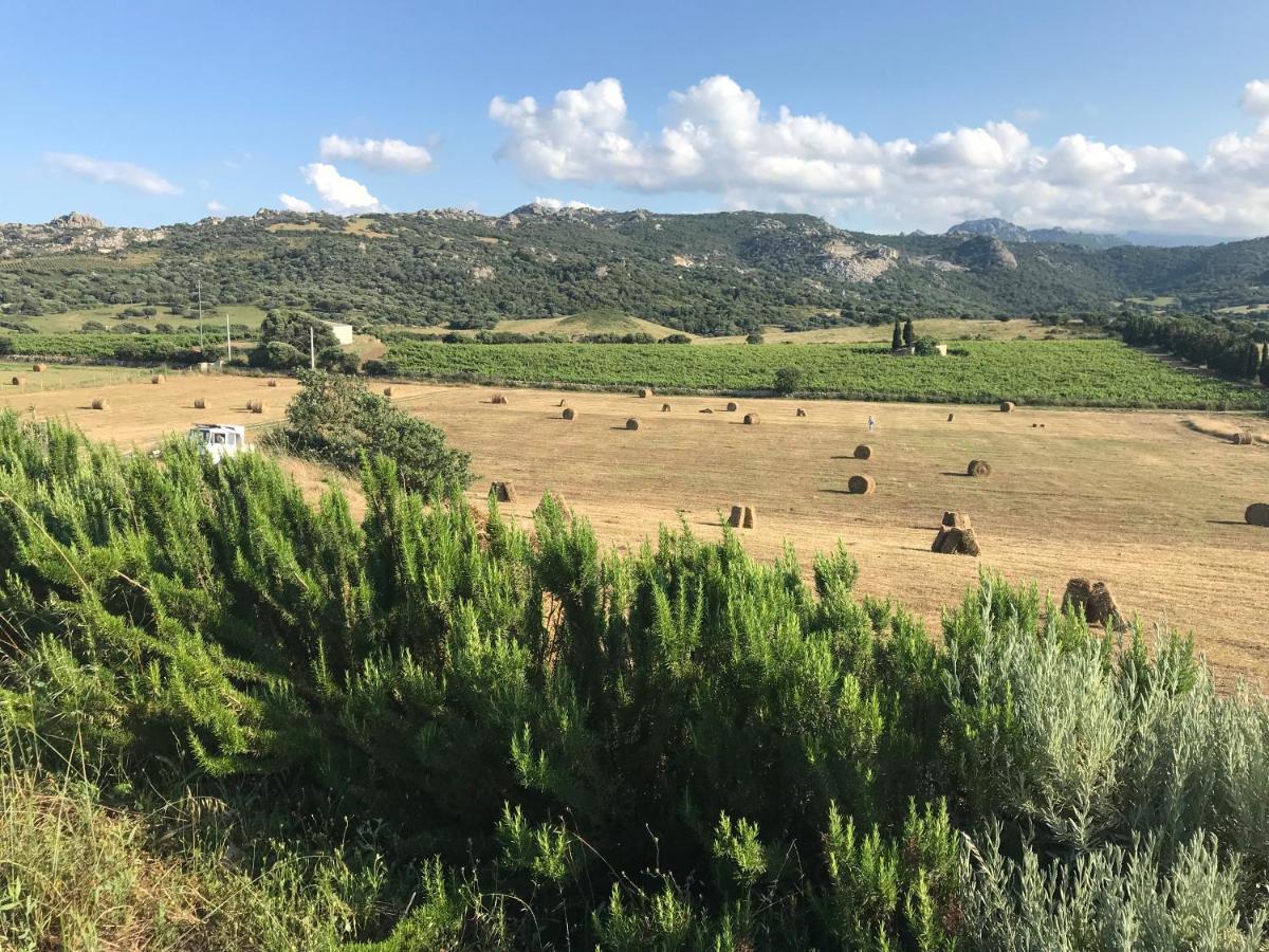 San Leonardo Country House Calangianus Exterior photo